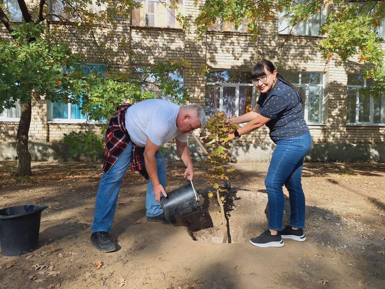 В Аскании-Нова озеленили местную школу.