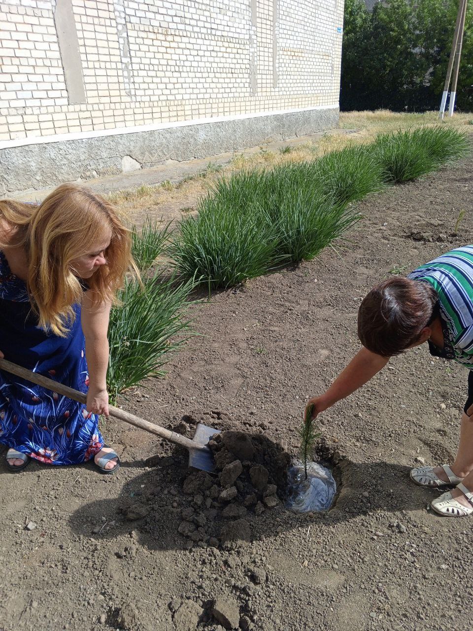 В Хлебодаровском сельском Доме культуры провели акцию «Посади дерево».