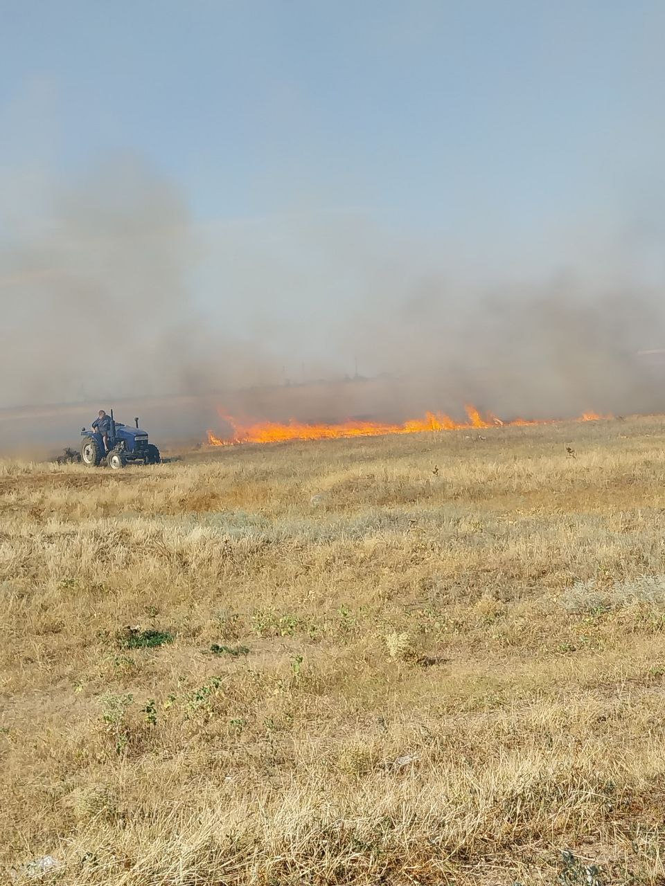 В Крестовском ТО ликвидировали пожар.