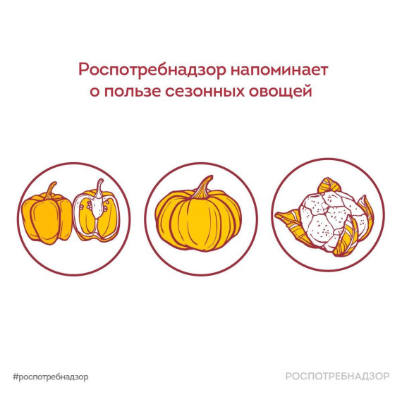 Польза сезонных овощей . Польза сезонных овощей .