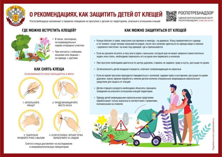 О случаях укусов клещами населения на территории Херсонской области. О случаях укусов клещами населения на территории Херсонской области.