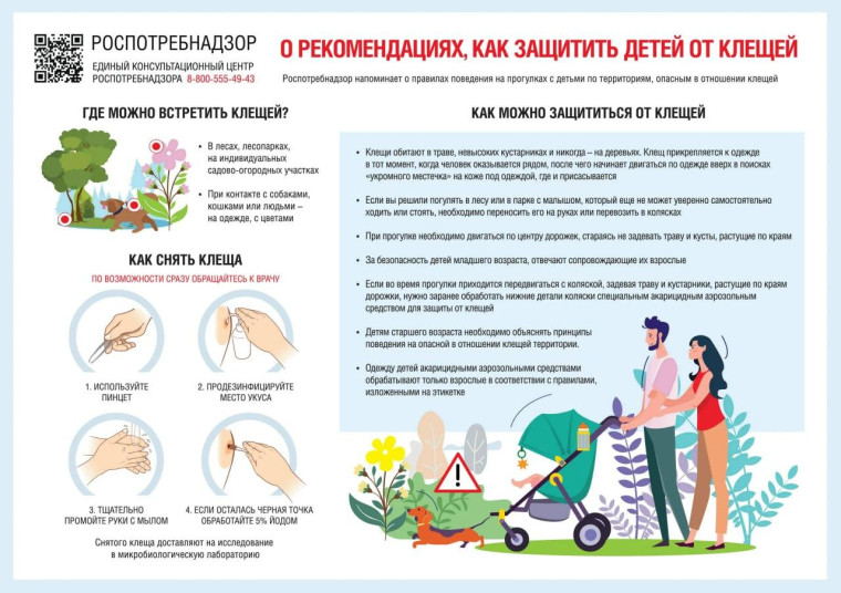 О профилактике клещевых инфекций!. О профилактике клещевых инфекций!.